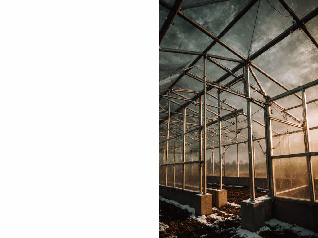 structural_comparison_seed_starter_vs_propagation