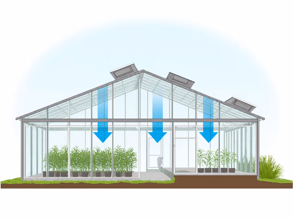 cross-section_diagram_showing_proper_ventilation_flow_in_greenhouse