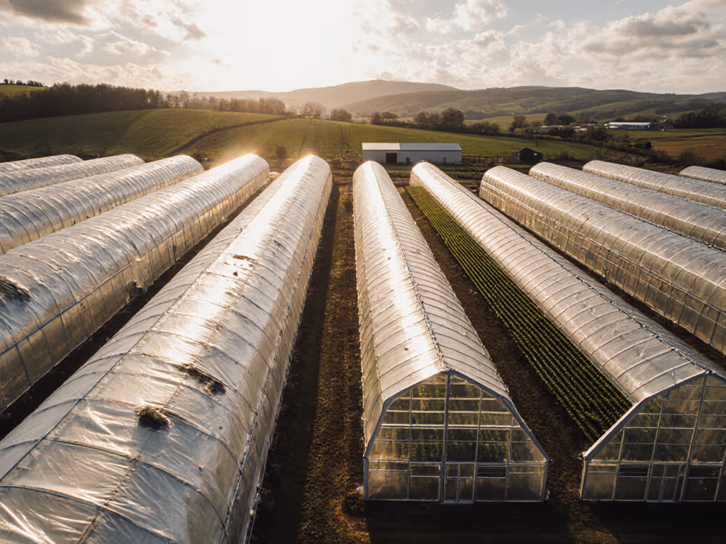 Tunnel Greenhouse Scalability vs Polycarbonate ROI: Commercial Guide