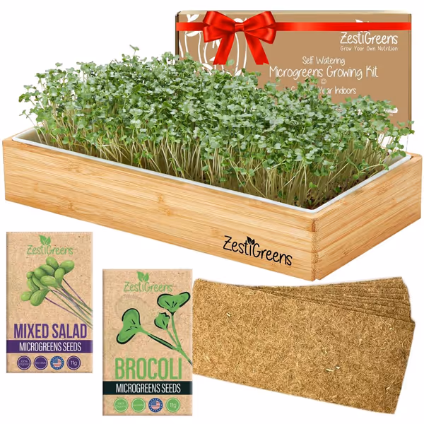 Hydroponic Microgreens Kit